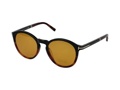 Shop Tom Ford Sunglasses In Havana/brown