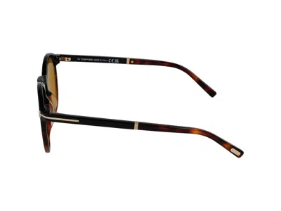 Shop Tom Ford Sunglasses In Havana/brown