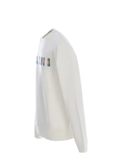 Shop Marni Sweatshirt  Made Of Cotton In Bianco
