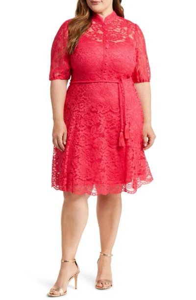 Shop Tahari Asl Scallop Hem Lace Dress In Raspberry