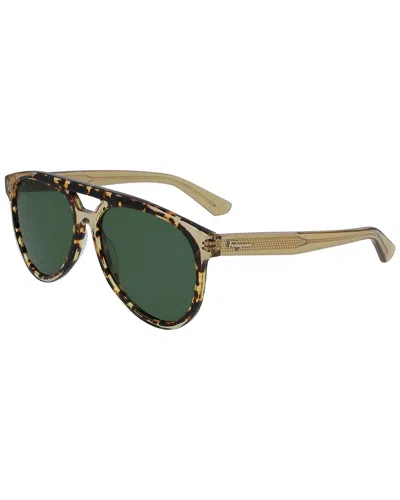 Shop Ferragamo Men's Classic Logo 55mm Sunglasses In Brown