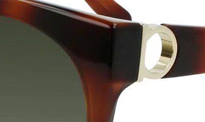 Ferragamo Gancini 53mm Round Sunglasses In Tortoise