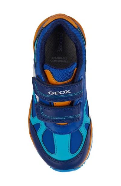 Shop Geox Kids' Pavel Sneaker In Royal/ Orange