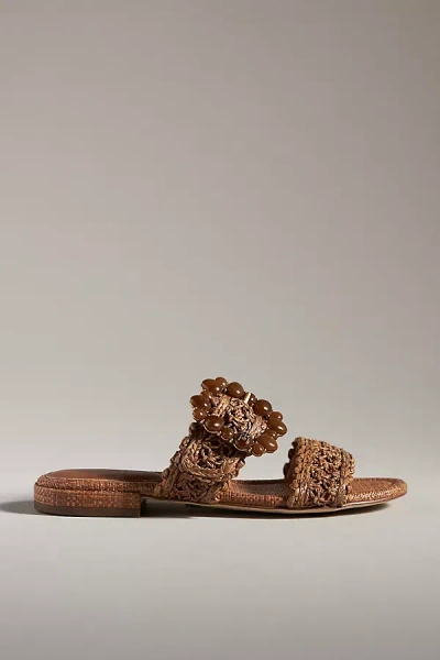 Shop Sam Edelman Elisa Slide Sandals In Brown