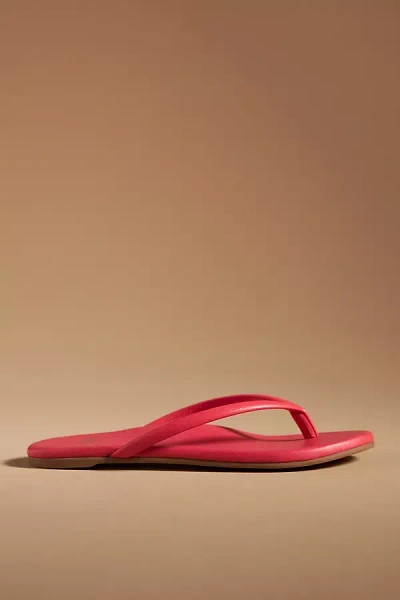 Shop Beek Sunbeam Thong Sandals In Red