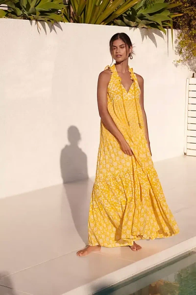 Shop Ro's Garden Sofia Maxi Dress In Yellow