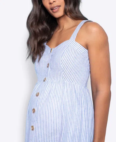Shop Seraphine Women's Midi Maternity Nursing Dress In Blue Stripe