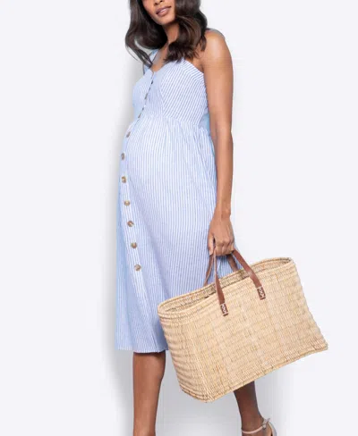 Shop Seraphine Women's Midi Maternity Nursing Dress, Including Petites Sizing In Blue Stripe