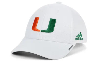 Shop Adidas Originals Miami Hurricanes Sideline Coaches Flex Cap In White