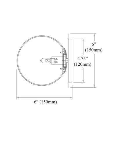 Shop Dainolite 6" Glass, Metal Burlat 1 Light Wall Sconce With Glass In Clear,aged Brass