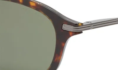 Shop Ted Baker 51mm Polarized Round Sunglasses In Tortoise