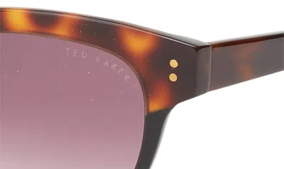 Shop Ted Baker 52mm Cat Eye Sunglasses In Tortoise