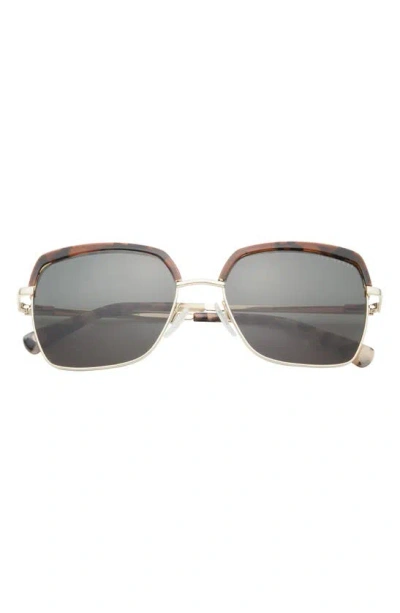 Shop Ted Baker 55mm Square Sunglasses In Tortoise