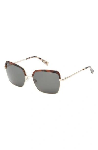 Shop Ted Baker 55mm Square Sunglasses In Tortoise