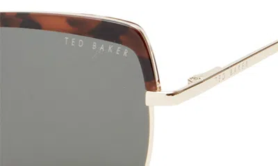 Shop Ted Baker 55mm Square Sunglasses In Tortoise