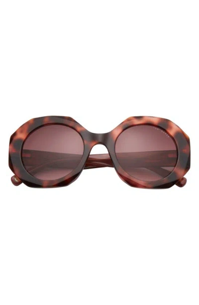 Shop Ted Baker 51mm Round Sunglasses In Tortoise