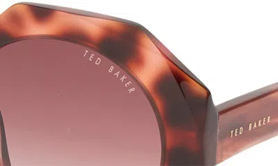 Shop Ted Baker 51mm Round Sunglasses In Tortoise