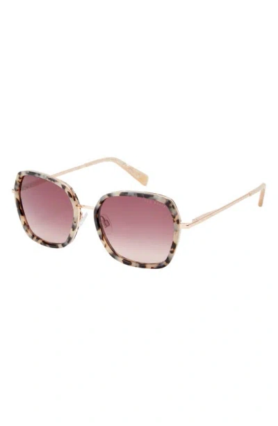 Shop Ted Baker 56mm Square Sunglasses In Ivory Tortoise