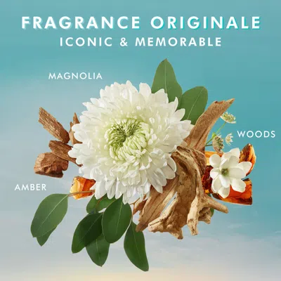 Moroccanoil Body Lotion Moisturizer Fragrance Originale 12.2 oz/ 360 ml In Fragrance Originale - Amber, Magnolia, Woods
