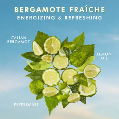 Shop Moroccanoil Shower Gel Bergamote Fraiche In Bergamote Fraiche - Italian Bergamot, Peppermint, Lemon Oil