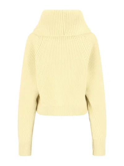 Sa Su Phi Cashmere Blend High-collar Knit Sweater In Yellow