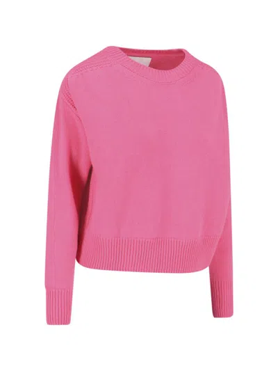 Sa Su Phi Round-neck Cashmere Sweater In Pink