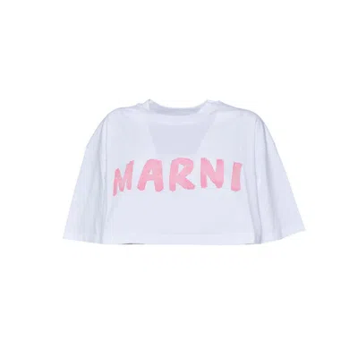 Shop Marni Logo Printed Cropped T In White