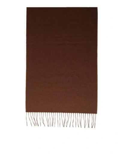 Shop Ferragamo Cashmere Nuance Shaded Effect Scarf In Brown