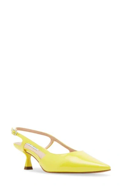 Shop Steve Madden Legaci Kitten Heel Pointed Toe Pump In Yellow Patent