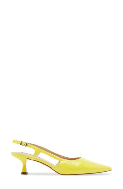 Steve Madden Legaci Kitten Heel Pointed Toe Pump In Yellow Patent