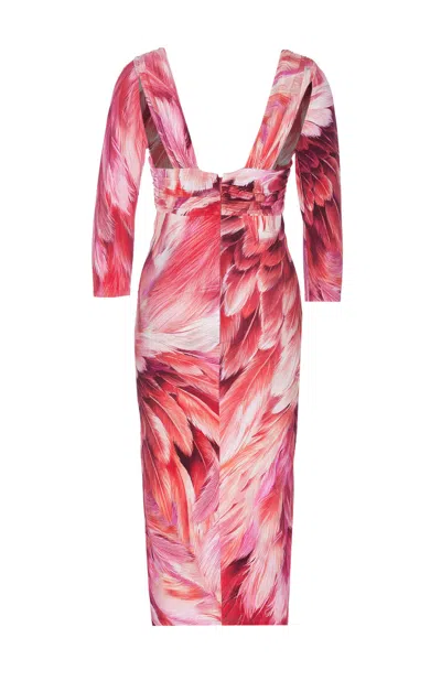 Shop Roberto Cavalli Plumage Print Dress In Fuchsia