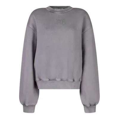 Shop Alexander Wang Sweaters In Acid Pink Lavender