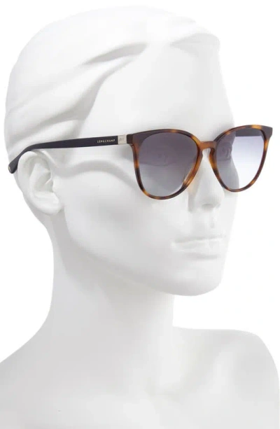 Shop Longchamp Le Pliage 53mm Gradient Cat Eye Sunglasses In Havana Blue/ Grey