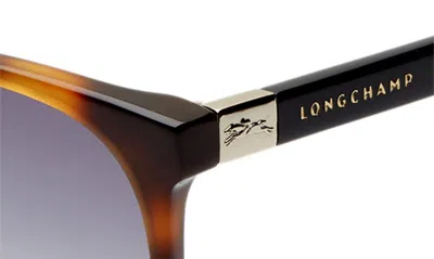 Shop Longchamp Le Pliage 53mm Gradient Cat Eye Sunglasses In Havana Blue/ Grey