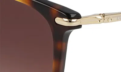 Longchamp 54mm Gradient Cat Eye Sunglasses In Havana/ Brown Gradient