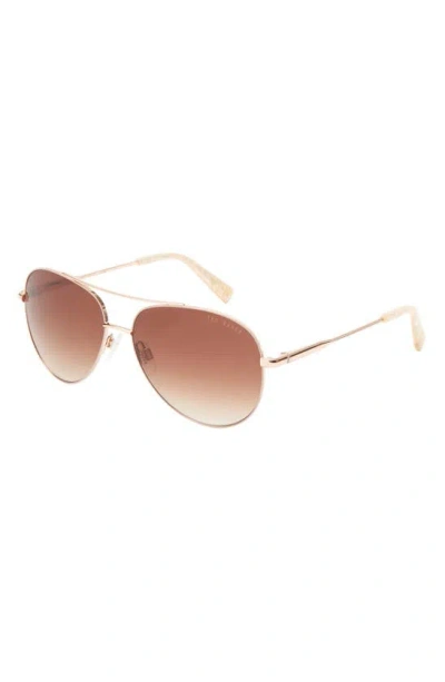 Shop Ted Baker 57mm Full Rim Aviator Sunglasses In Rose Gold