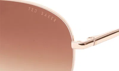 Shop Ted Baker 57mm Full Rim Aviator Sunglasses In Rose Gold