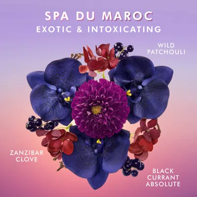 Moroccanoil Body Lotion Moisturizer Spa Du Maroc 12.2 oz/ 360 ml In Spa Du Maroc - Zanzibar Clove, Black Currant Absolute, Wild Patchouli