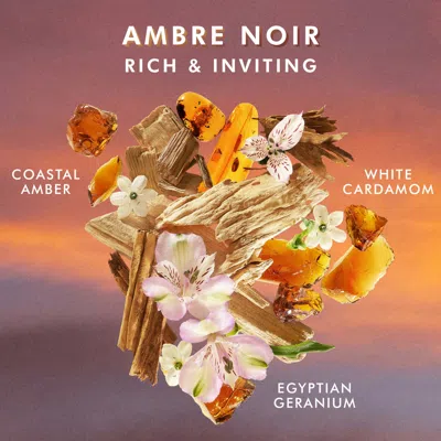 Shop Moroccanoil Shower Gel Ambre Noir In Ambre Noir - Coastal Amber, Egyptian Geranium, White Cardamom