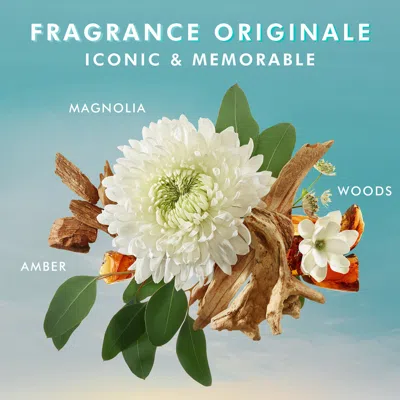 Shop Moroccanoil Shower Gel Fragrance Originale In Fragrance Originale - Amber, Magnolia, Woods
