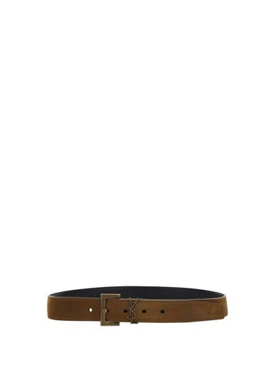 Shop Saint Laurent Belts E Braces In Dk Land