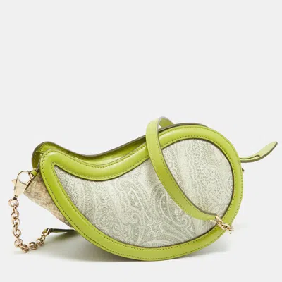 Pre-owned Etro Green Paisley Print Coated Canvas Python Embossed And Leather Crossbody Bag