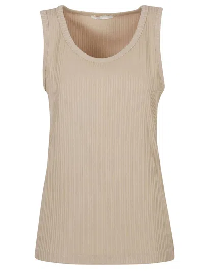 Shop Circolo 1901 Ribbed Sleeveless Top In Beige