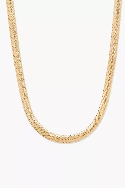 Shop Brook & York Compressed Curb Chain Necklace In Gold