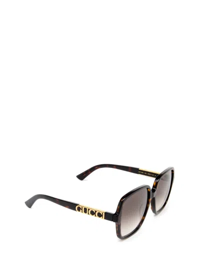 Shop Gucci Gg1189s Havana Sunglasses