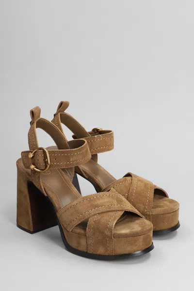 Ash Melany Sandals In Brown Suede In Brown