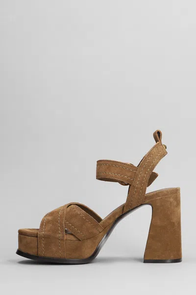 Ash Melany Sandals In Brown Suede In Brown