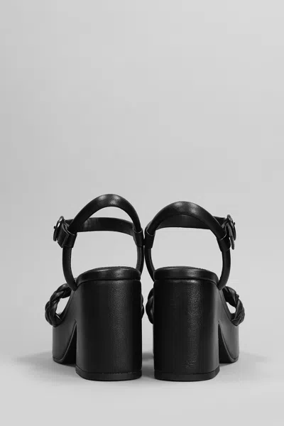 Shop Ash Oak Sandals In Black Leather