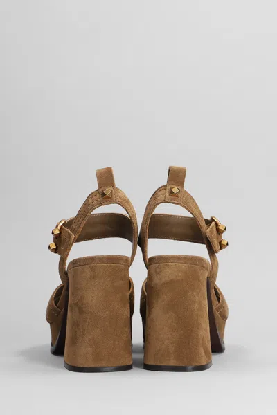 Ash Melany Sandals In Brown Suede In Brown