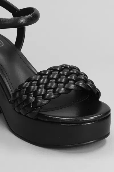Shop Ash Oak Sandals In Black Leather